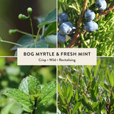 Bog Myrtle & Fresh Mint Reed Diffuser