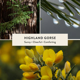 Highland Gorse Reed Diffuser
