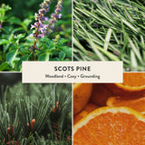 Scots Pine Reed Diffuser