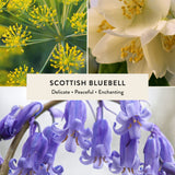 Scottish Bluebell Reed Diffuser