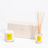 Highland Gorse Gift Set